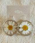 Real Daisy Resin Earrings – Gold-Tone or Silver-Tone Frames